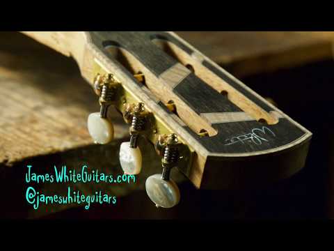 James White Guitars - Wintergrass Festival 2020