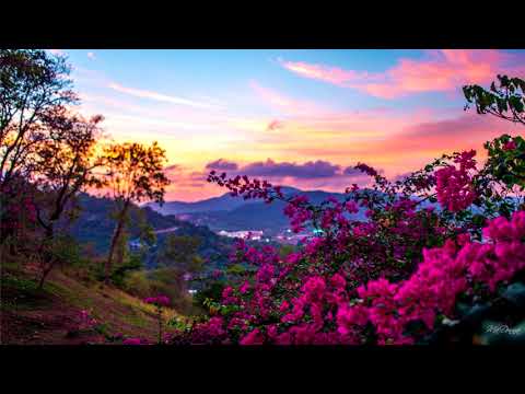 Dub Unit x fsfp56 - Discourse