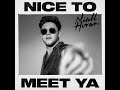 Niall Horan Nice To Meet Ya Audio