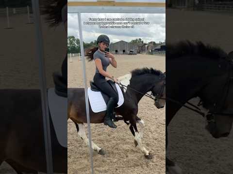 I said what I said 🙊#horse #horsegirl #equestrian #youtubeshorts #equestrianjourney #fyp #trending