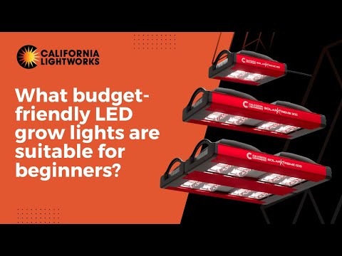 What budget friendly LED grow lights are suitable for beginners?