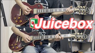 Juicebox - The Strokes (Guitar Cover & TAB Tutorial)
