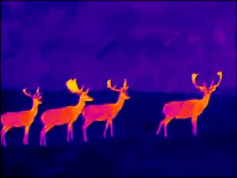 Termovize NIGHT PEARL Scops 35 PRO - "Daňci"