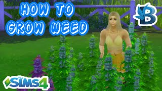 How To Grow Your Own Plants - Basemental Mod Series || The Sims 4