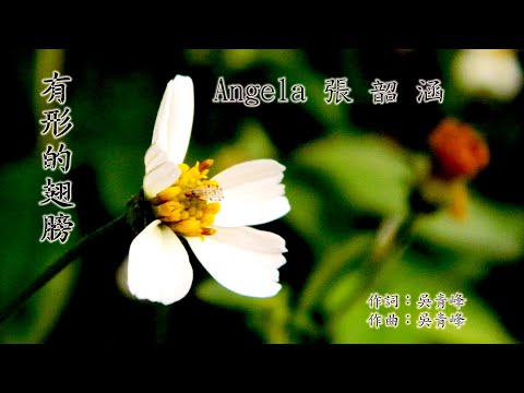 有 形 的 翅 膀 (張韶涵 Angela) (高畫質 高音質)