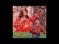 Keeravani Iravile Kanavile Paadum Paravaigal Remastered Audio Song