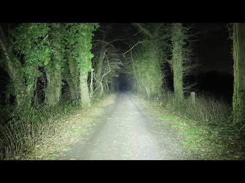 Emisar D4S SST-20 6500k  4200 Lumen  -  Emisar D4S XPL-Hi 6500k  4300 Lumen