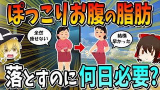 ぽっこりお腹の脂肪を落とすのに何日必要？
