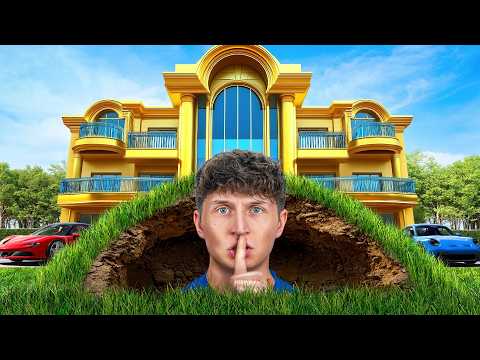 First Puppy in New Home for $1,000!