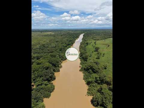 FAZENDA A VENDA EM FLORES DE GOIÁS – GO - EXCELENTE OPORTUNIDADE PARA INVESTIDORES E PRODUTORES