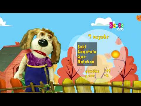 "Hava necə olacaq?" - 7 noyabr 2024-cü il