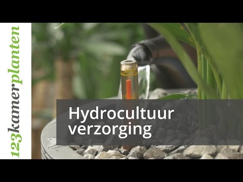 , title : 'Hydrocultuurplanten verzorgen - 123kamerplanten'
