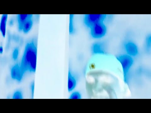 Thb Jay - Fanta Freestyle [Official Music Video]