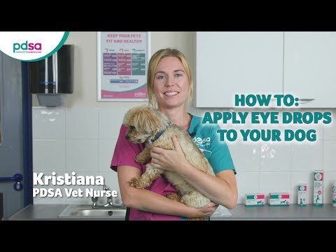 can i put human moisturizing eye drops on my dog