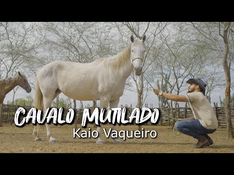 O Cavalo Mutilado | Kaio Vaqueiro (Clipe Oficial)