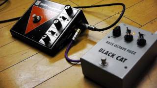 Black Cat Pedals Bass Octave Fuzz - What To Know & Where To Buy