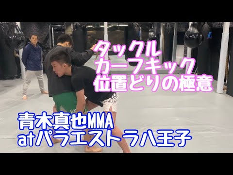 カーフキック・タックルの位置　青木真也MMA