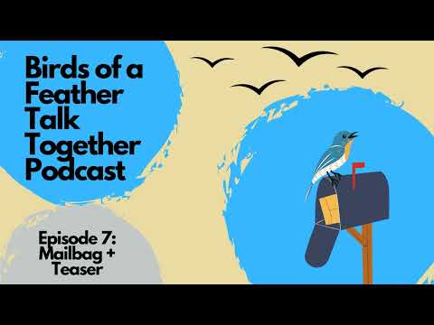 Birds of a Feather Talk Together | Mailbag + Teaser