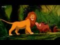 Хакуна матата - Тимон и Пумба м\ф "Король лев" 