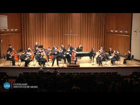 Beethoven: Concerto for Violin, Cello and Piano in C Major, Op.56, Mvmt. I