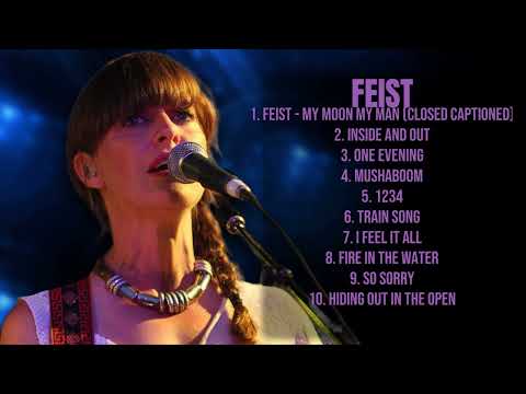 Feist-Music hits review for 2024-All-Time Favorite Mix-Tantalizing