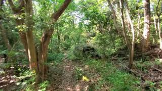 城ヶ崎海岸で遭難したかと思った動画