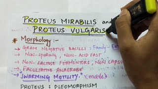 Proteus | Microbiology | Handwritten notes