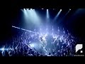 Perfume - Fake It