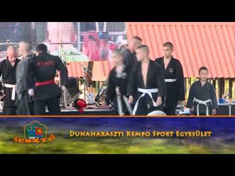 Búcsú Dunaharasztin 2014 - Kempo Sport Egyesület  (2014. 38. hét)