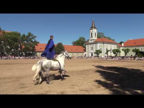 12. Uherská pošta - Den starokladrubského koně 2017