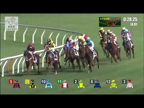 港經佬賽事重溫｜15-12-2021 谷草夜馬第二場賽事重溫 (254)｜行樂之光 Jolly Forever (D331)｜田泰安 K Teetan｜蘇偉賢 W Y So｜免費心水及賽馬貼士