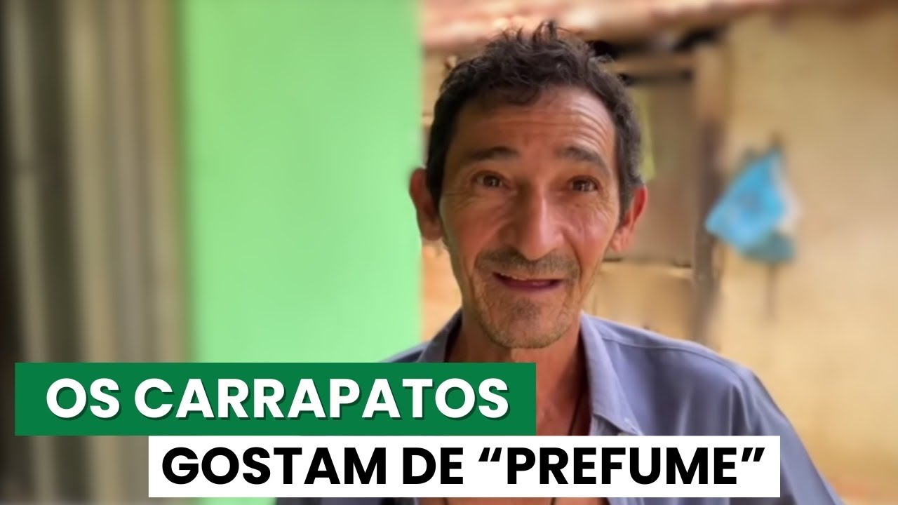 A SAGA DOS CARRAPATOS