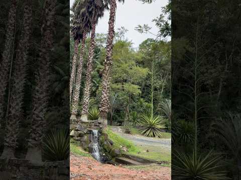 LINDO PARAÍSO AQUI EM TAPIRAÍ.