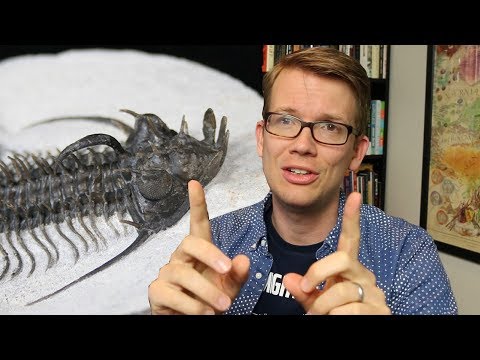 Eyes Made of Crystal? - Trilobites are Bizarre