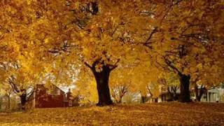 Autumn Leaves Music Video