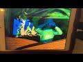 Toy Story 10th Anniversary DVD Trailer