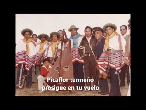 Picaflor Tarmeño - Con letra - Lira Tarmeña