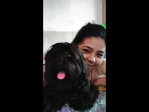 I love this dog so much ❤