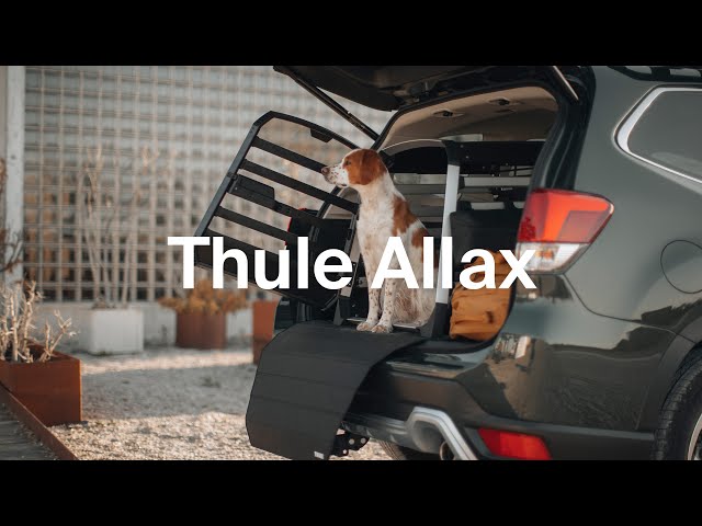 Vídeo relacionado con Thule Allax Threshold Compatible Dog Crate for Vehicle Travel - Size M - Fits Vehicles with Trunk Threshold - High-Strength Construction - Adjustable for Dog and Vehicle fit