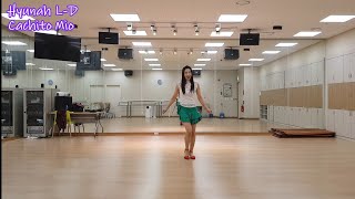 Cachito Mio Line Dance - Improver ( Demo &amp; Count )