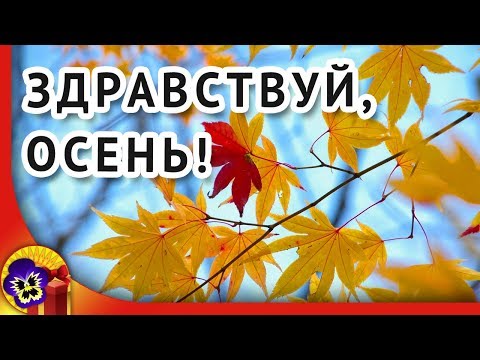 Здравствуй осень! Золотая московская осень 🍁 Музыка для души