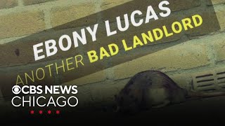 Former aldermanic candidate wins defamation lawsuit over attack ads