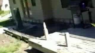 Bottle rocket nut shot