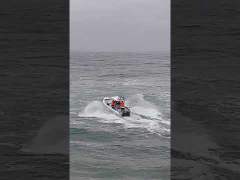 Sonny Evans  - Shelly Beach