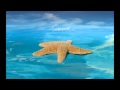 Remady & Manu-L - Holidays (Radio Mix ...