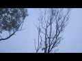 Madikeri New WhatsApp Status 2023 Madikeri Coorg Kodagu Virajpet Siddapura Siddipet 1million