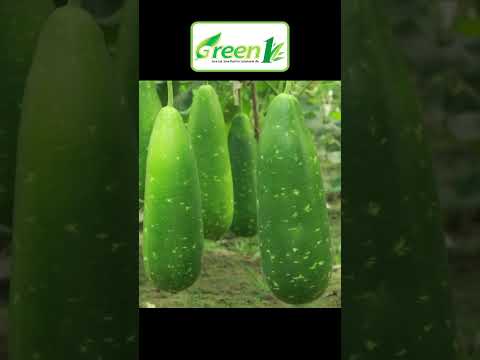 গ্রীন ওয়ান #shorts  #farming #greenone #green1