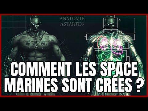 22 ORGANES TRANSHUMAIN ?! Space Marines Expliqué - Warhammer 40k