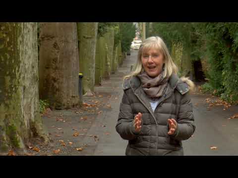 Der 200 Jahre alte Hauptfriedhof in Koblenz