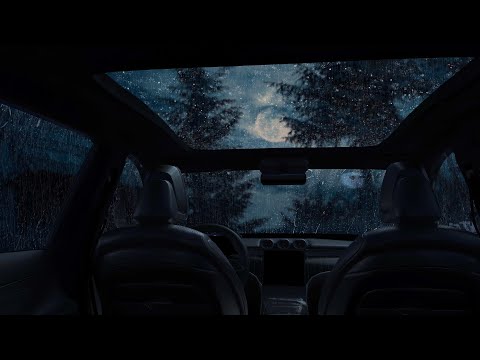 Gentle Rain on the Car Windows | Relaxing Sounds for Sleep, Mental Health, from Insomnia, PTSD